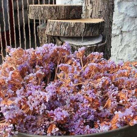 Homestay szállás Macide Hanim Konagi Ayvalı