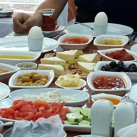 Macide Hanim Konagi Alloggio in famiglia Ayvalı