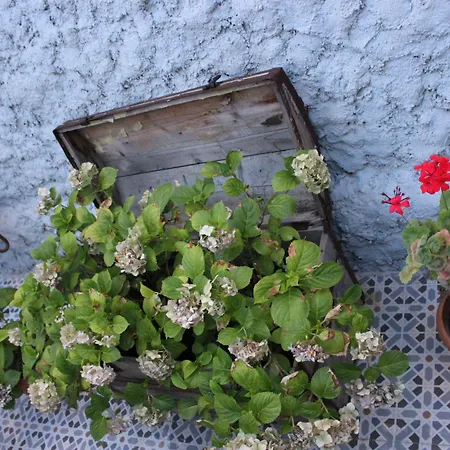 Macide Hanim Konagi Alloggio in famiglia *