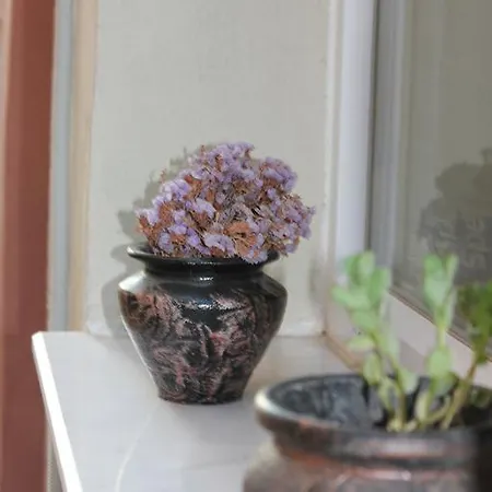 Macide Hanim Konagi Alloggio in famiglia *