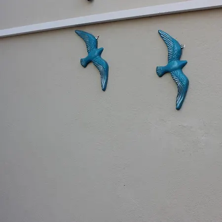 Macide Hanim Konagi Alloggio in famiglia Ayvalı