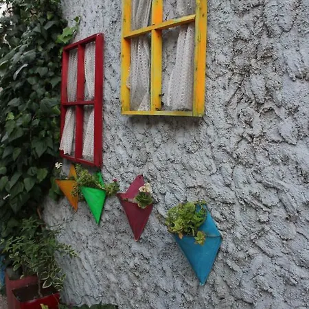 Macide Hanim Konagi Alloggio in famiglia