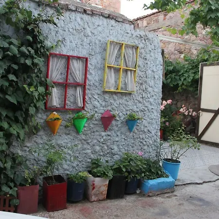 Alloggio in famiglia Macide Hanim Konagi *