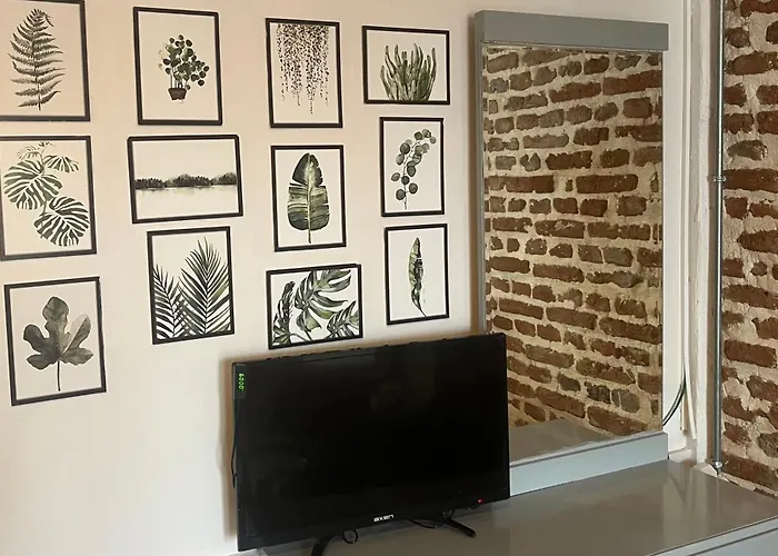 民宿 Macide Hanim Konagi