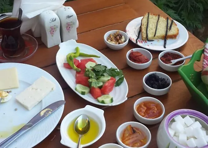 Macide Hanim Konagi 民宿 *