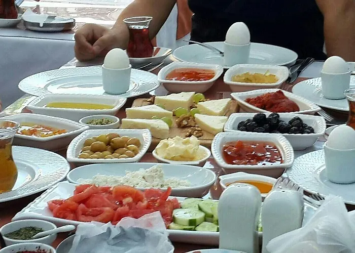 Macide Hanim Konagi 民宿 Ayvalı