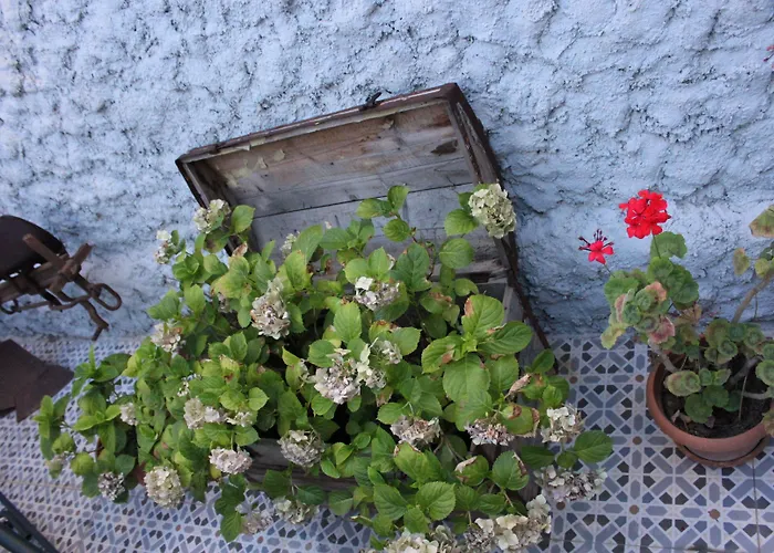 Macide Hanim Konagi 民宿 *