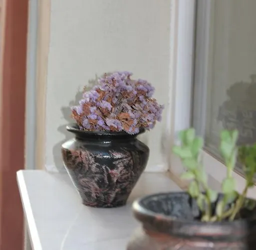 Macide Hanim Konagi 民宿 *