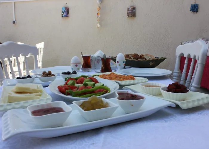 民宿 Macide Hanim Konagi *