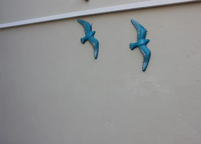 Macide Hanim Konagi 民宿 Ayvalı