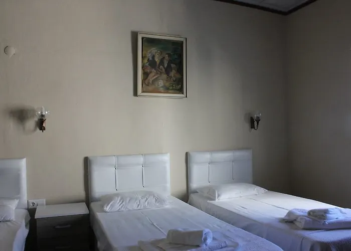 Macide Hanim Konagi 民宿 *