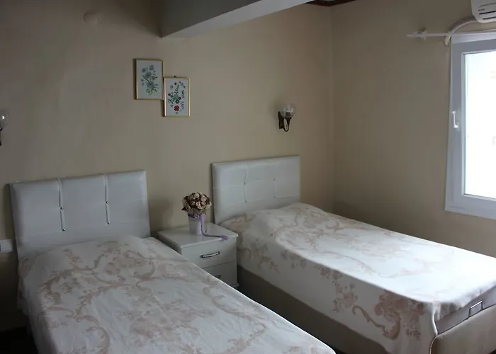 Macide Hanim Konagi 民宿 Ayvalı