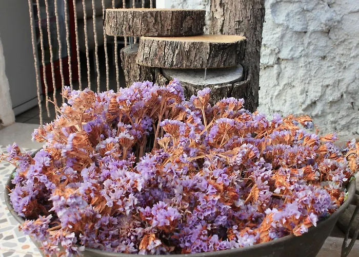 民宿 Macide Hanim Konagi Ayvalı