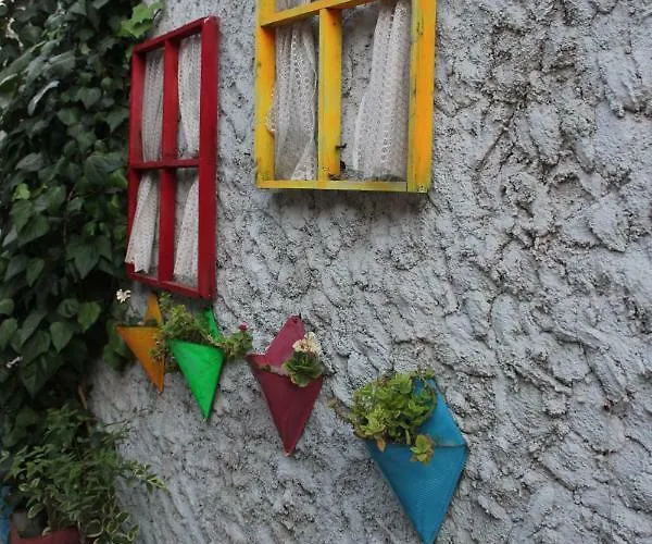 Macide Hanim Konagi 民宿