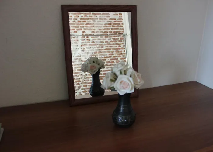 民宿 Macide Hanim Konagi